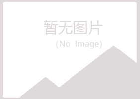 鹤岗南山晓霜金属有限公司